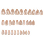Golden Cat Eye Short Almond Press-On Nails Set JP4044