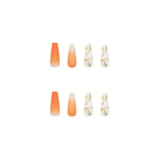 [Clearance]- W024