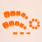 Toe Nails- F067